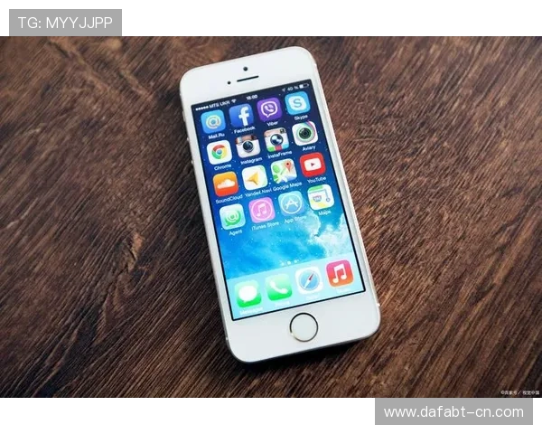 大发娱乐网址登录线路技术解析,揭秘背后保障玩家安全的关键措施 大发娱乐网址登录线路技术解析,揭秘背后保障玩家安全的关键措施